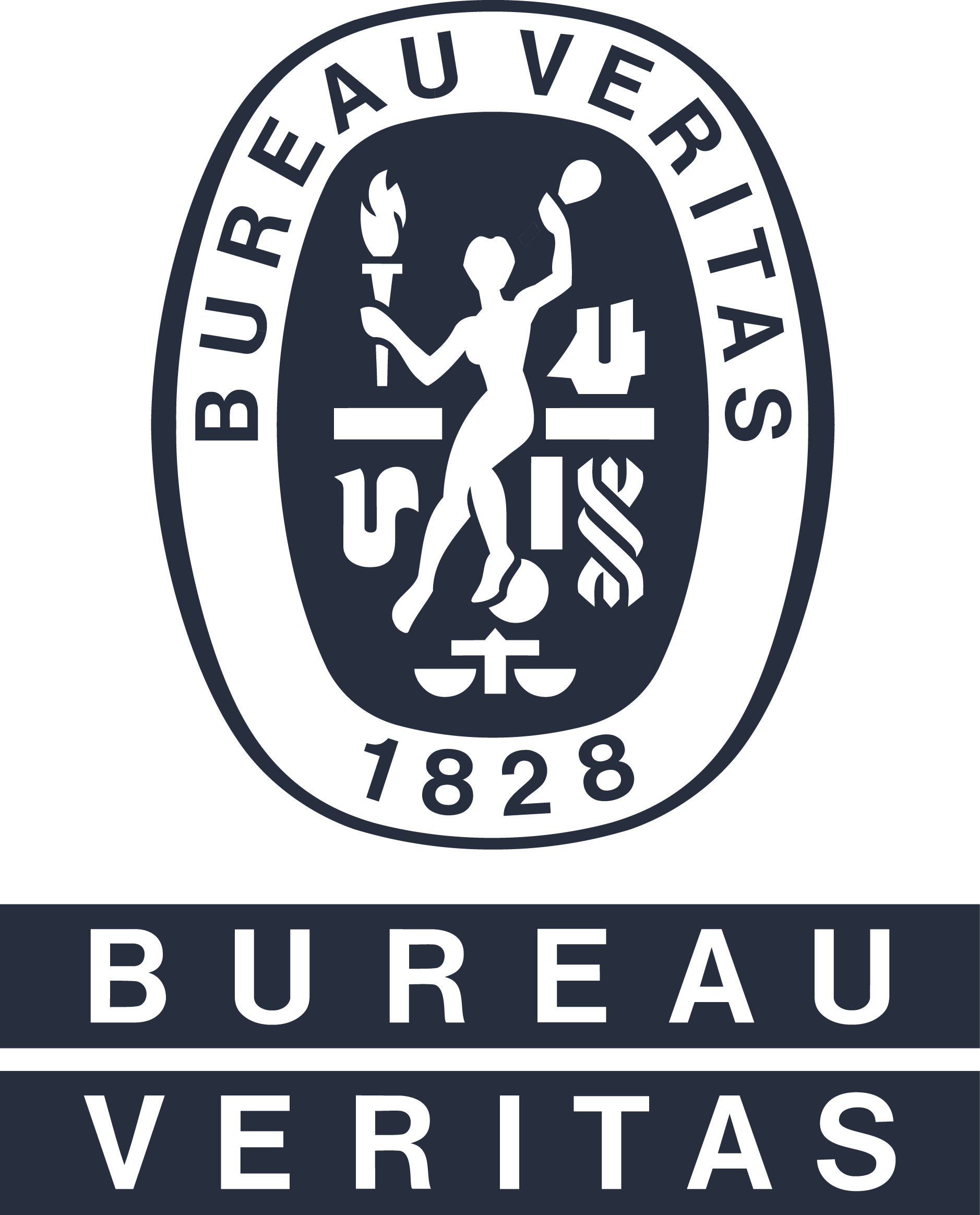 BV-Logo-SPOT-Vector